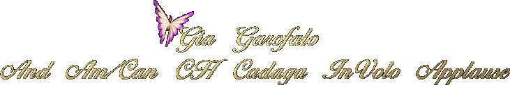 Gia Garofalo and AM/CAN CH Cadaga InVolo Applause