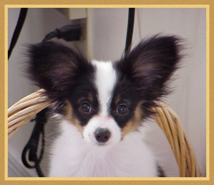 Gwen!