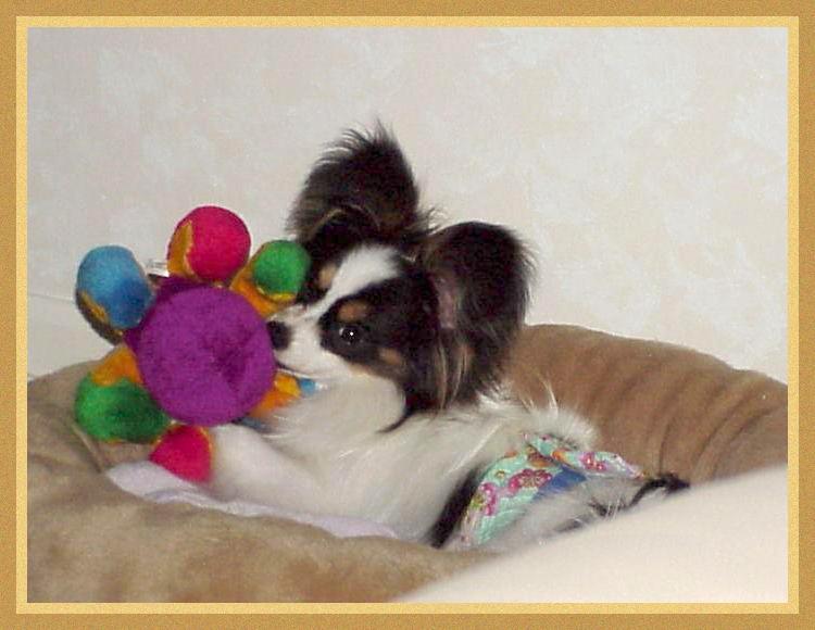 Frances