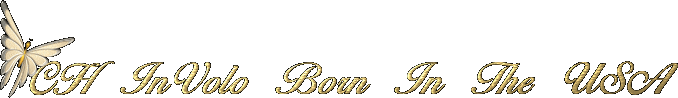 CH InVolo Born In The USA
