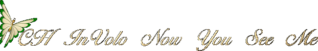 CH InVolo Now You See Me
