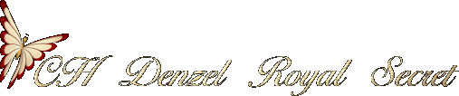 CH Denzel Royal Secret