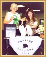 Patriot Papillon Club AOM