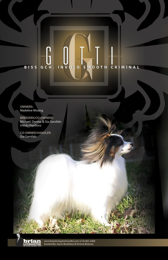 Gotti Ad