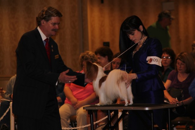 Guy being examined by Judge Randy Garren