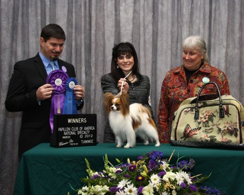 Molly, Best of Winners - PCA