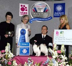 Oliver-AKC/Eukanuba Toy Group 1