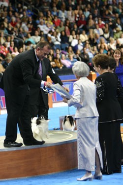 Oliver-AKC/Eukanuba Toy Group 1