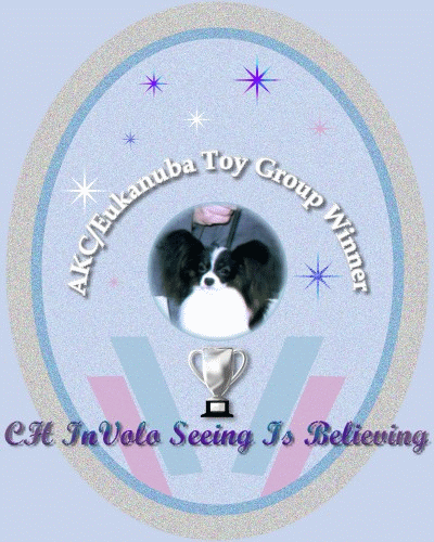 Oliver-AKC/Eukanuba Toy Group Winner