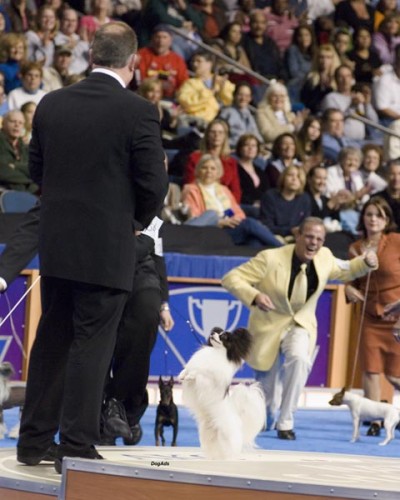 Eukanuba Group Win
